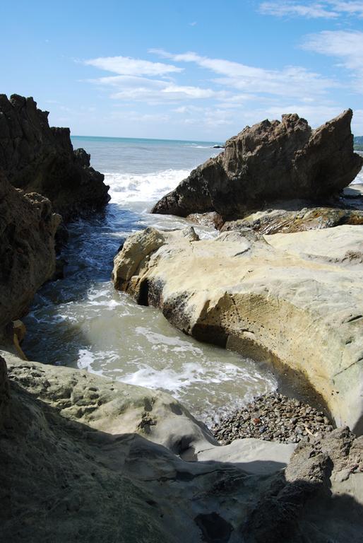 Pacifica Surf Studios Playa Santa Teresa  エクステリア 写真