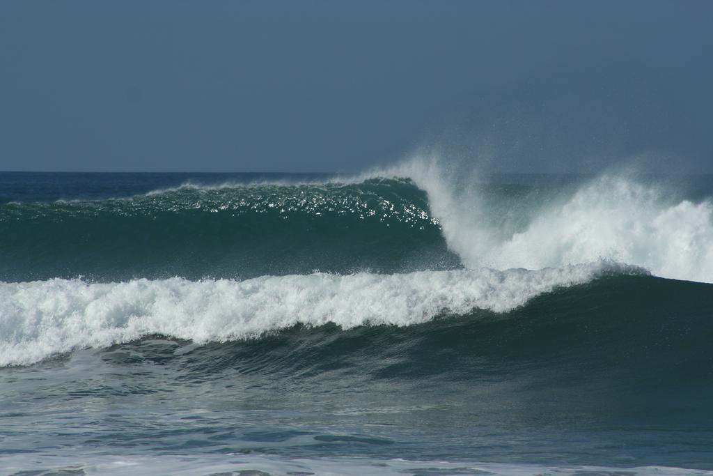 Pacifica Surf Studios Playa Santa Teresa  エクステリア 写真